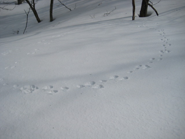 img0052.jpg