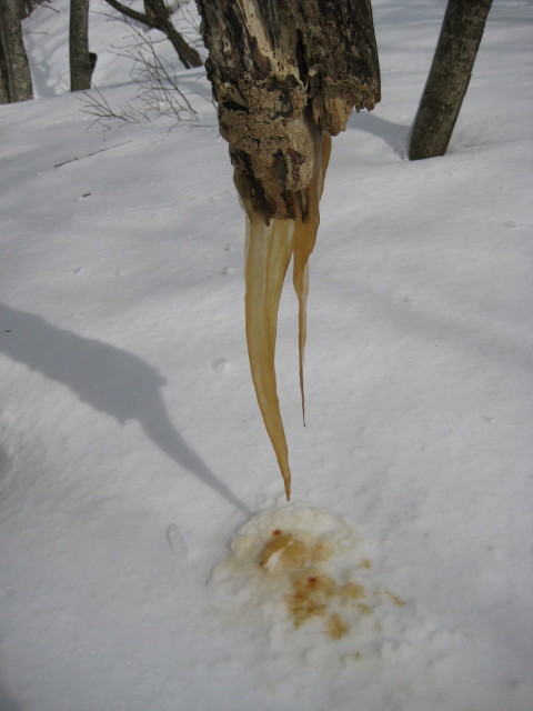 img0058.jpg