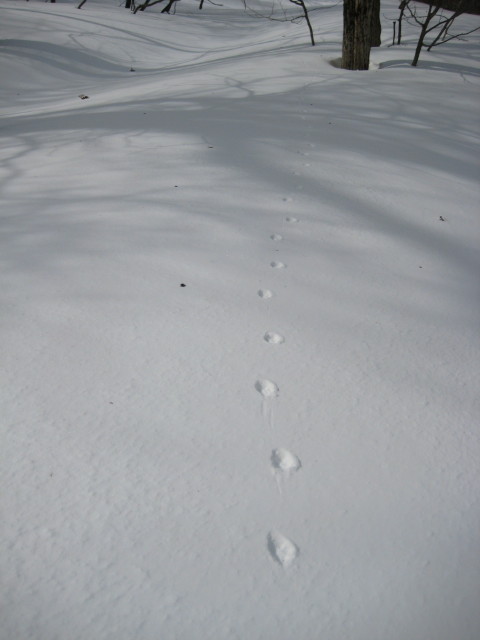 img0059.jpg