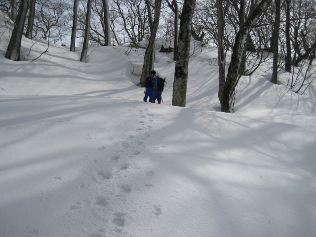 img0060.jpg