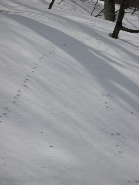 img0062.jpg