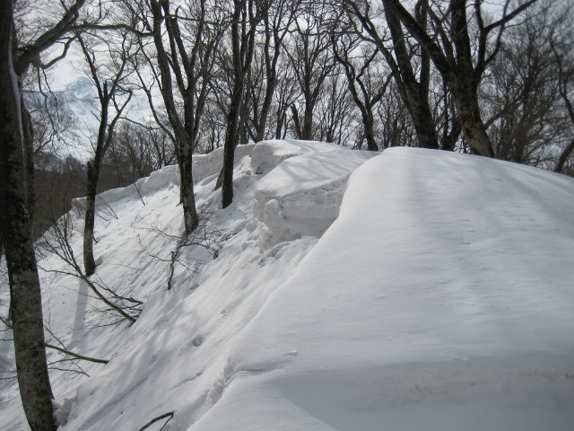 img0064.jpg