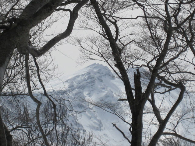 img0065.jpg