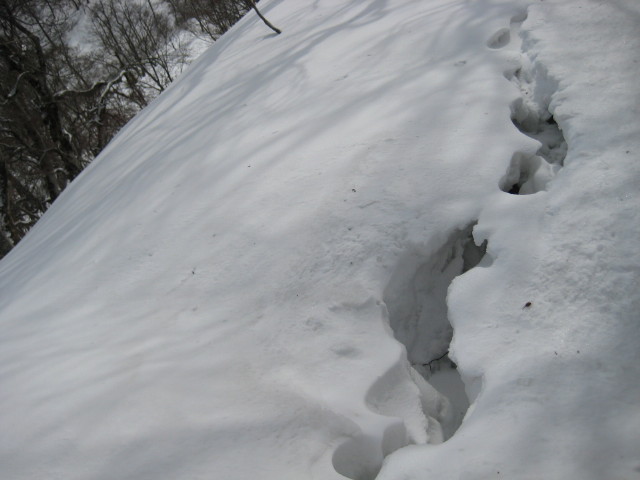 img0070.jpg