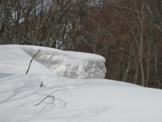 img0071.jpg