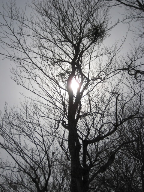 img0079.jpg