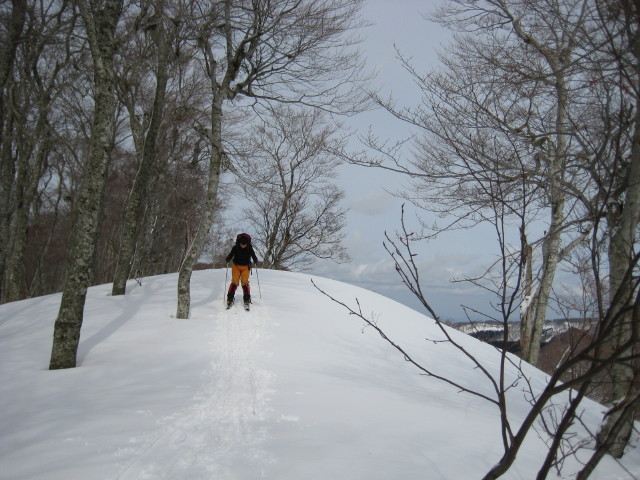 img0081.jpg