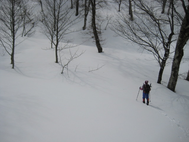 img0084.jpg
