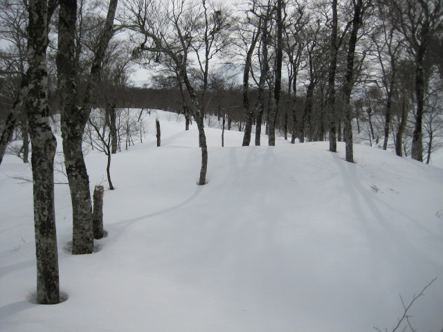 img0085.jpg