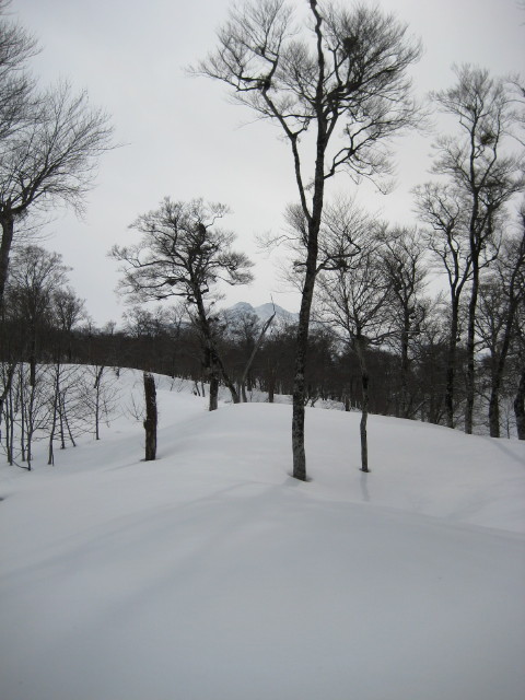 img0086.jpg