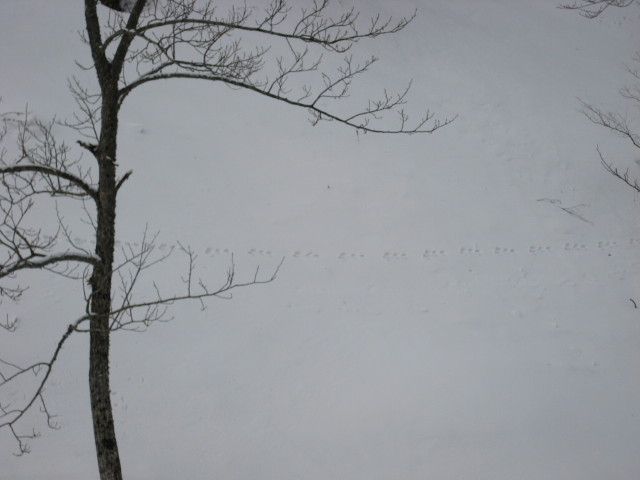 img0090.jpg