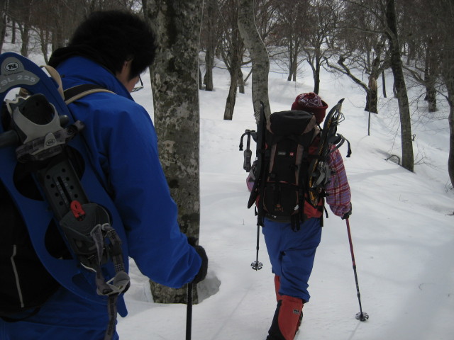 img0095.jpg