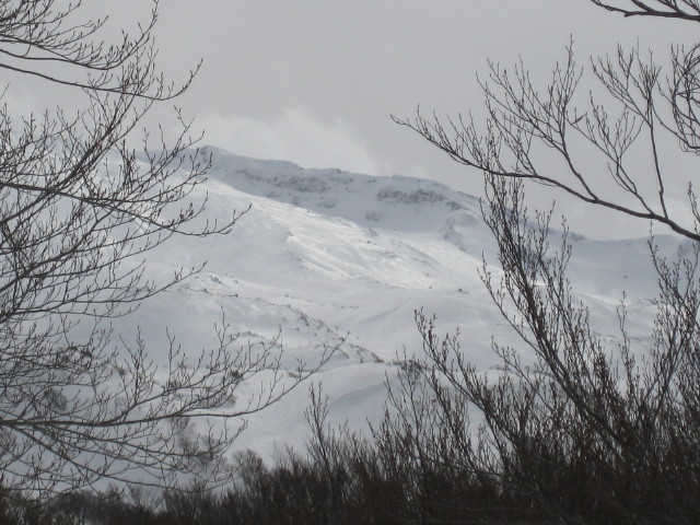 img0099.jpg