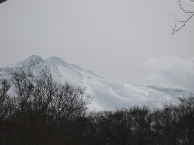 img0102.jpg