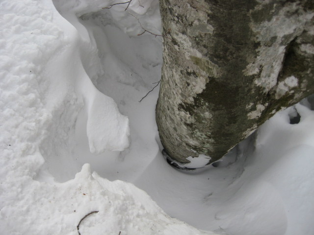 img0105.jpg