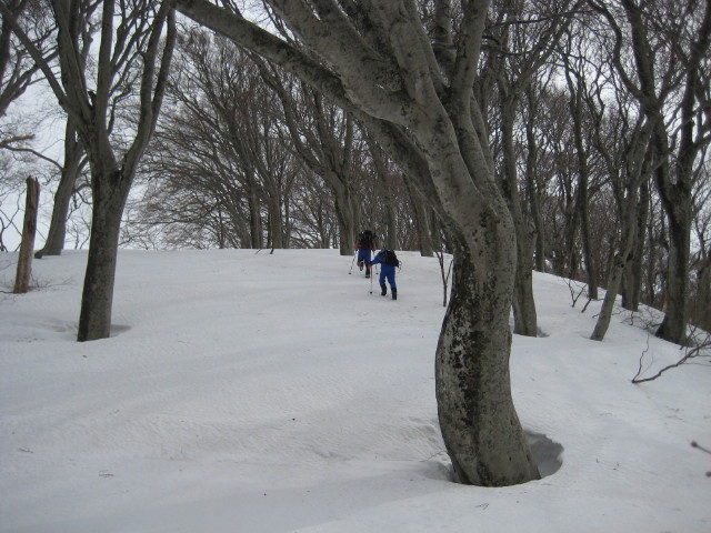 img0106.jpg
