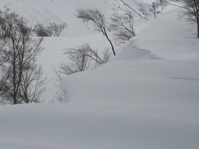 img0112.jpg