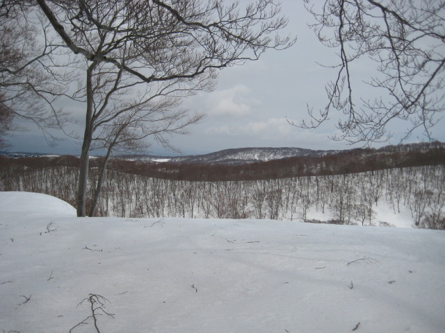 img0114.jpg