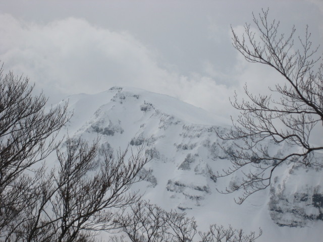 img0115.jpg
