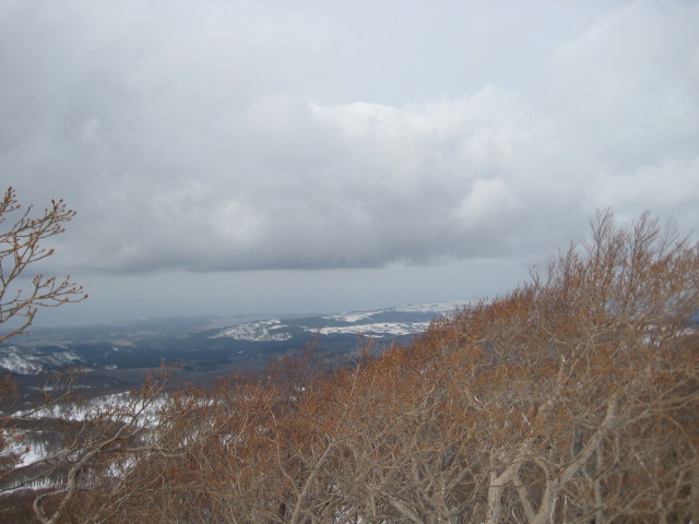 img0117.jpg