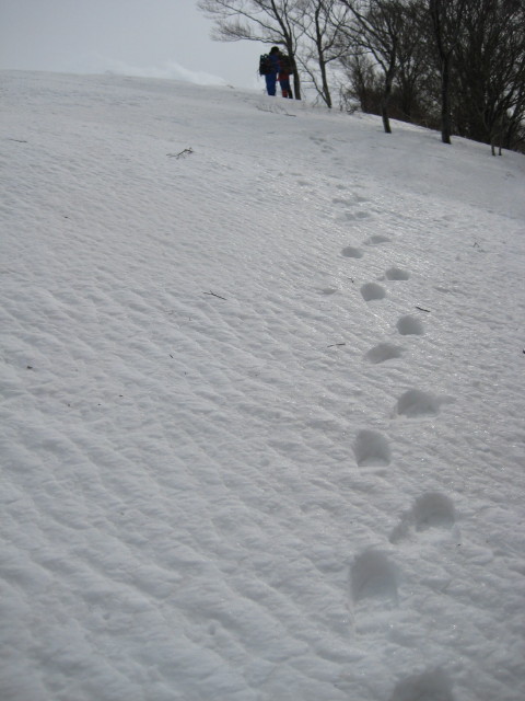 img0118.jpg
