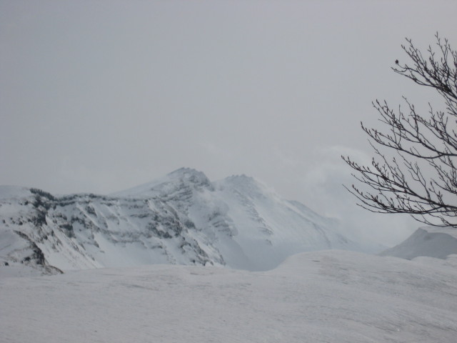 img0120.jpg