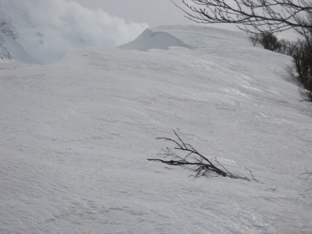 img0121.jpg