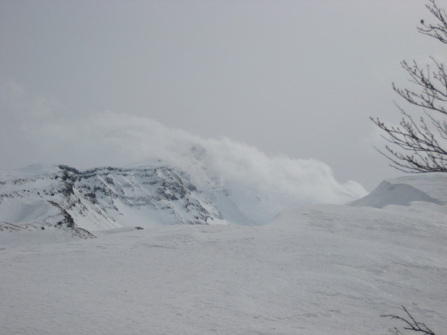 img0123.jpg