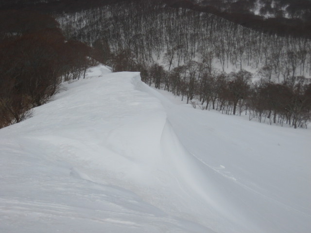 img0133.jpg