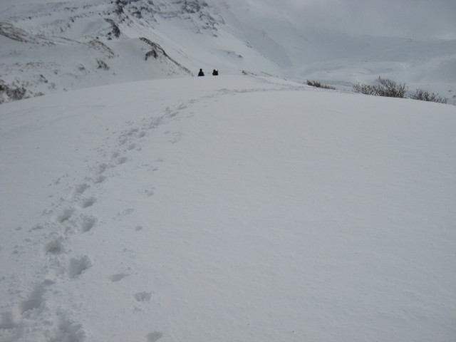 img0136.jpg