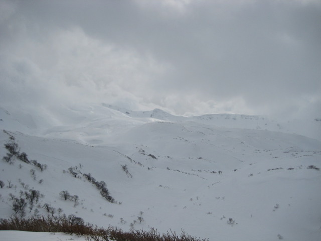 img0137.jpg