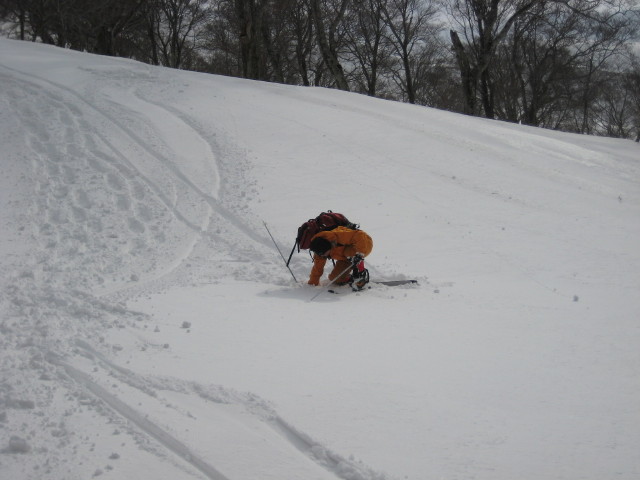 img0160.jpg