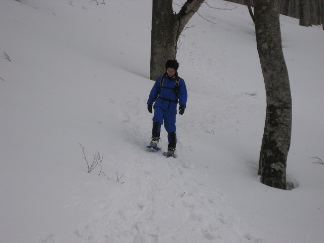 img0166.jpg