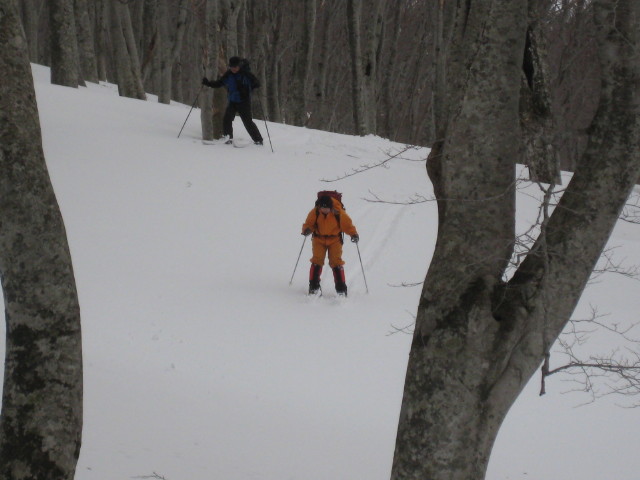 img0167.jpg