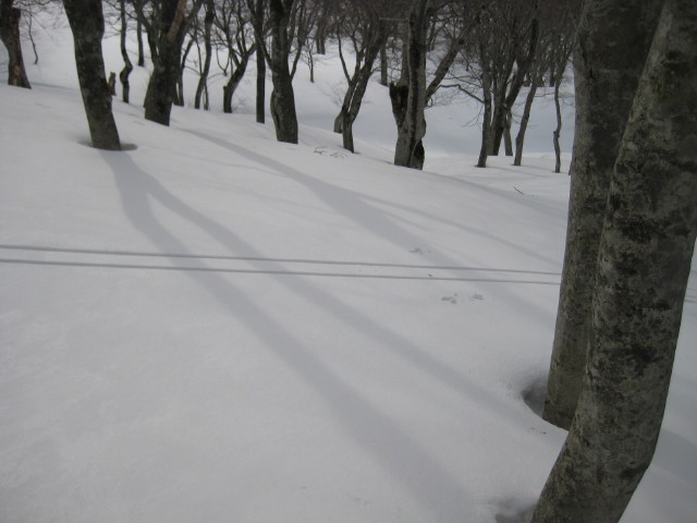 img0169.jpg