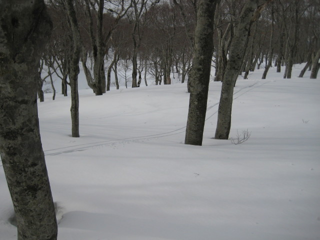 img0170.jpg