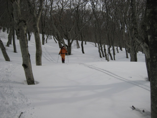img0171.jpg