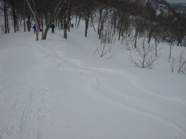 img0175.jpg