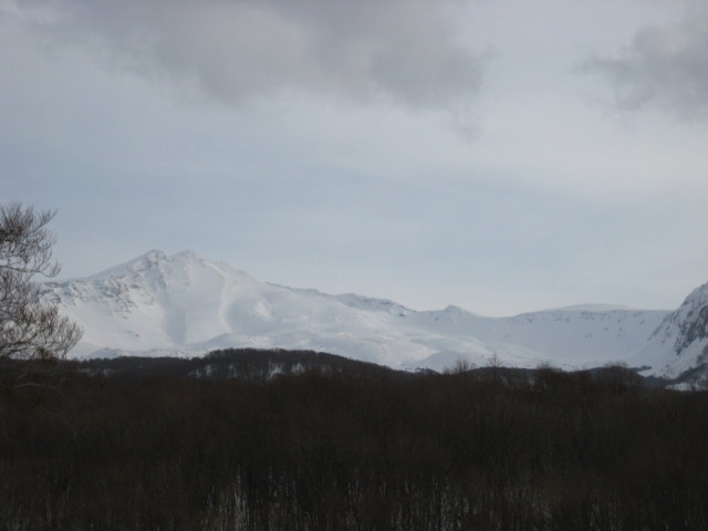 img0183.jpg