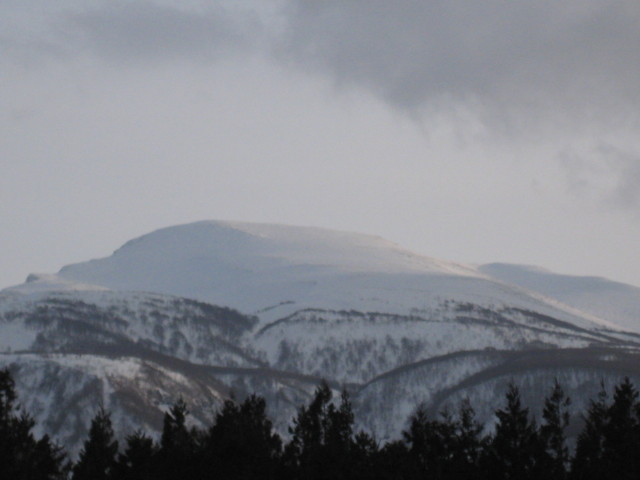 img0184.jpg