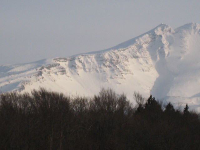 img0187.jpg