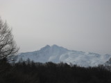 img0007.jpg