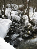 img0008.jpg