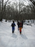 img0009.jpg