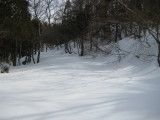 img0017.jpg