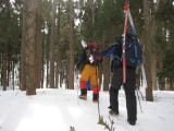 img0020.jpg