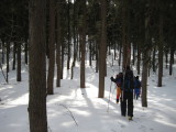 img0021.jpg