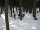 img0022.jpg