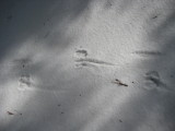 img0029.jpg