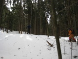 img0030.jpg